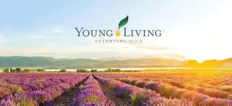 Young living customer service - To become a Young Living customer click on the "Become a Customer" link at the top of this page. * All prices shown include VAT. Shipping charges not included. ... Young Living Malaysia Sdn Bhd (1058616-D) (AJL 932069) Ground Floor, Tower 7 Avenue 3, Bangsar South, No. 8 Jalan Kerinchi 59200 Kuala Lumpur, Malaysia